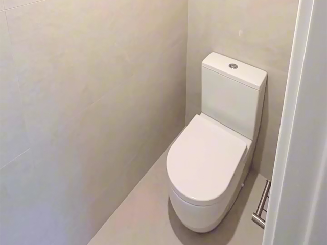 Same toilet after renovation: new white toilet and large format wall tiles